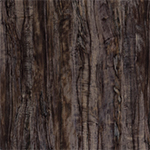 C 475 MO Alleppey Birch swatch