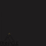 Spotless Black T 8003 NM Pinnacle laminate